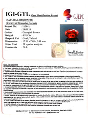 5.46 Ratti  Natural Hessonite with Govt. Lab Certificate-(1221)